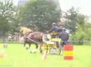 PHC Steenhuffel 2006