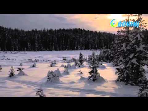 Видео-обзор горнолыжного курорта Бохинь