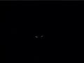 ufo 2007/07/19 pm 7.50 飛碟