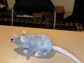 videos de Rat Mischief
