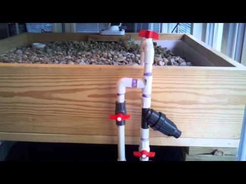 Small Aquaponics Setup