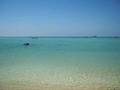 thailand beach koh tao