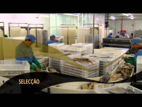 Portugal | Sr. Bacalhau