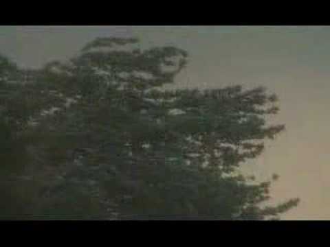 Church Sermon Series Trailer - ...