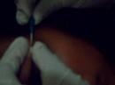 mi mejor muerte... (piercing de la ceja)...NATASHA
