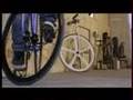 Fixed Gear