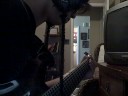 In dying days cover ABRB In dying days cover ABRB