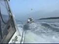 Sea Tow Cape May