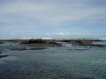 Kapoho Wading Ponds