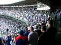 Chicago Cubs - Take me out to the ball game