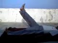 Reduce weight-Abdominal exersice Reduce weight-Abdominal exersice