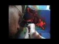 Thumbnail #2