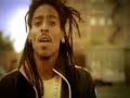 the musicvideo of the song dancehall night from kulcha connection