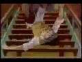 Tribut to Tasuki-Love me Miaka