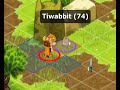 Dofus : La vie d'une guilde