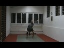 Harrer Lajos snatch test