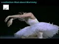 The Dying Swan