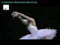 The Dying Swan