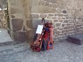 Blind Quechua Harp Player