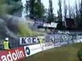 Viole Maribor