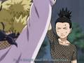 shikatema