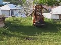 Kiskadee vs Cat