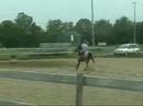 Barrel Racing White Willow Style White Willow