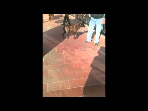 Guarda il video >>