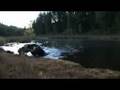Andejakt, Duck hunting av Kristoffer Clausen
