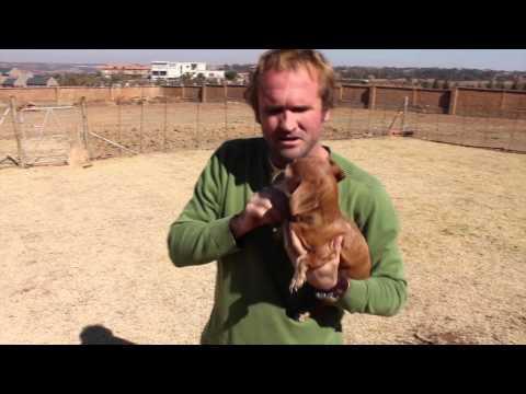 Robbie Wessels Kaapse toer onderhoud