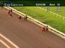 FAIR GROUNDS, 2008-02-02, Race 10