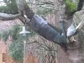 How to piss off a squirrel