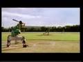Dominicano playball