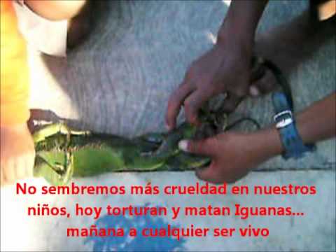 See video See video