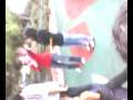 videos de pelea de gallos 6