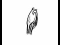 my-darling-cat-sidney.html