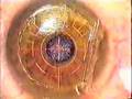 Eyesha