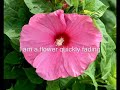 what-am-i-what-am-i.html