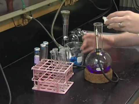 how to isolate acetobacter xylinum