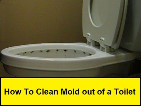 how to unclog jets in a toilet