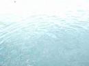 Gansbaai Great White Shark Cage Diving - MELHORES MOMENTOS