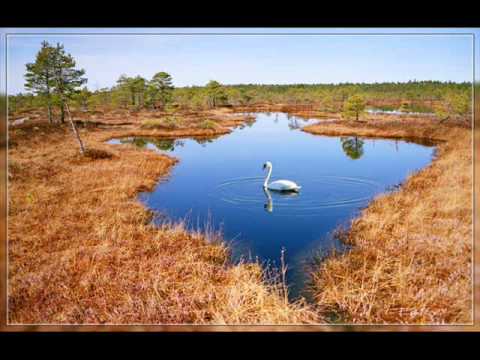 Минусовка Песни «Ротару София – Родина Моя 7»