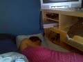 Sleeping guy goes really mad ( Naked   male ).