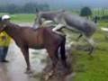 videos de en la sierra