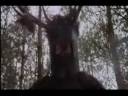 Youtube poop of which i do not know Youtube poop of which i do not know