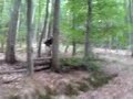 Bastis erster Roadgap Bastis erster Roadgap