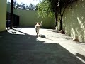 Mel, correndo atrás da bolinha :)