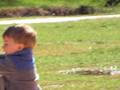 videos de Cameron at the Greenville Zoo park