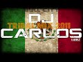 TRIBAL MIX 2011 #19 