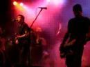 Muff Potter -  Fotoautomat  live im Rosenhof